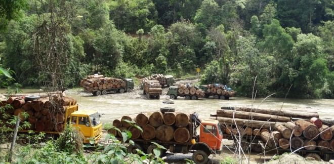 log-trucks-in-kachin-waiting-to-cross-into-china-april-2015-c-eia-lr-crop